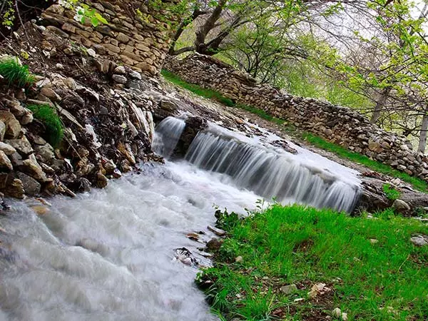 بهترین رنگ کار موی خوانسار