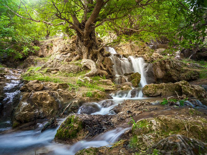 بهترین رنگ کار موی گلپایگان